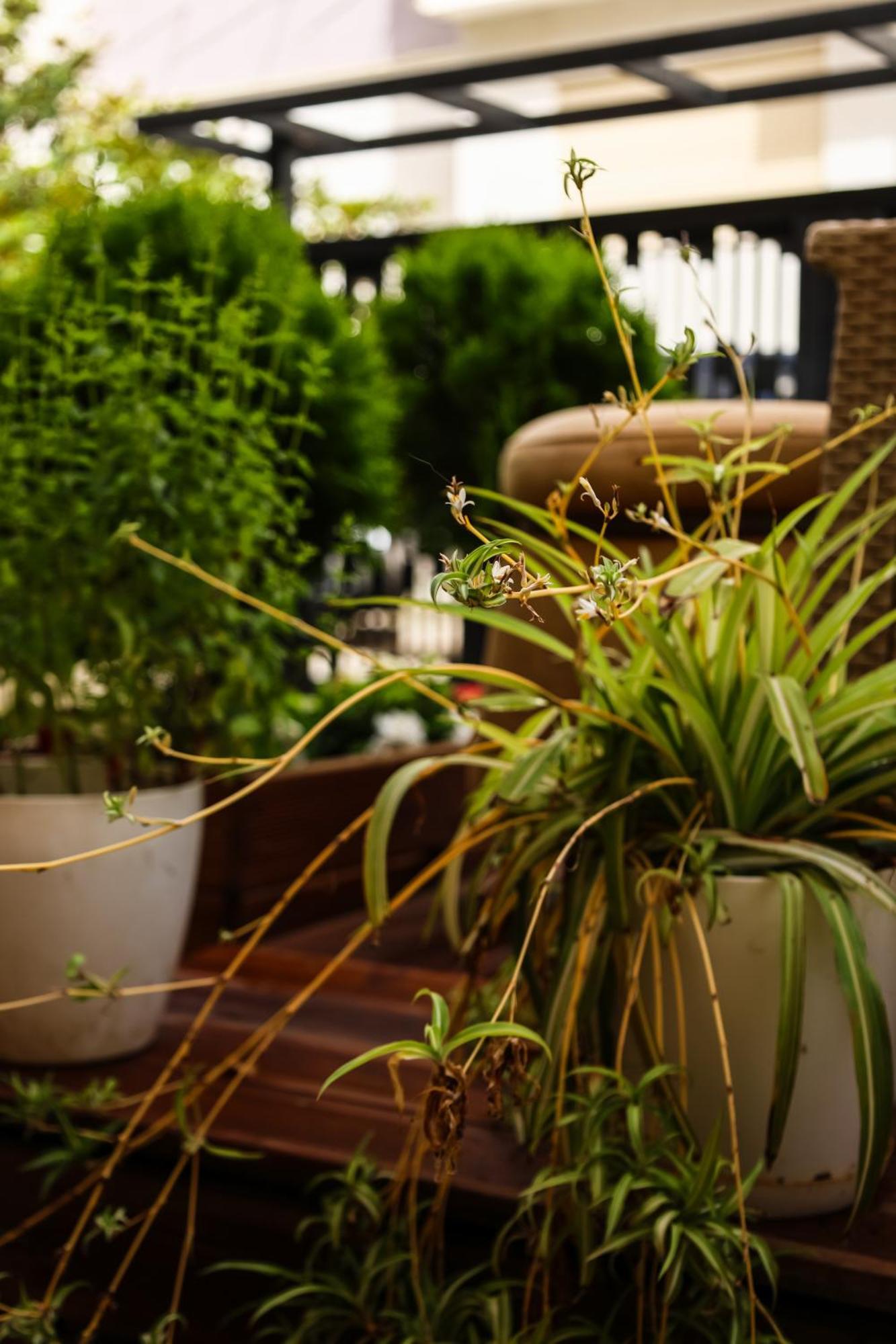 Vila Zhiti Durres Ngoại thất bức ảnh